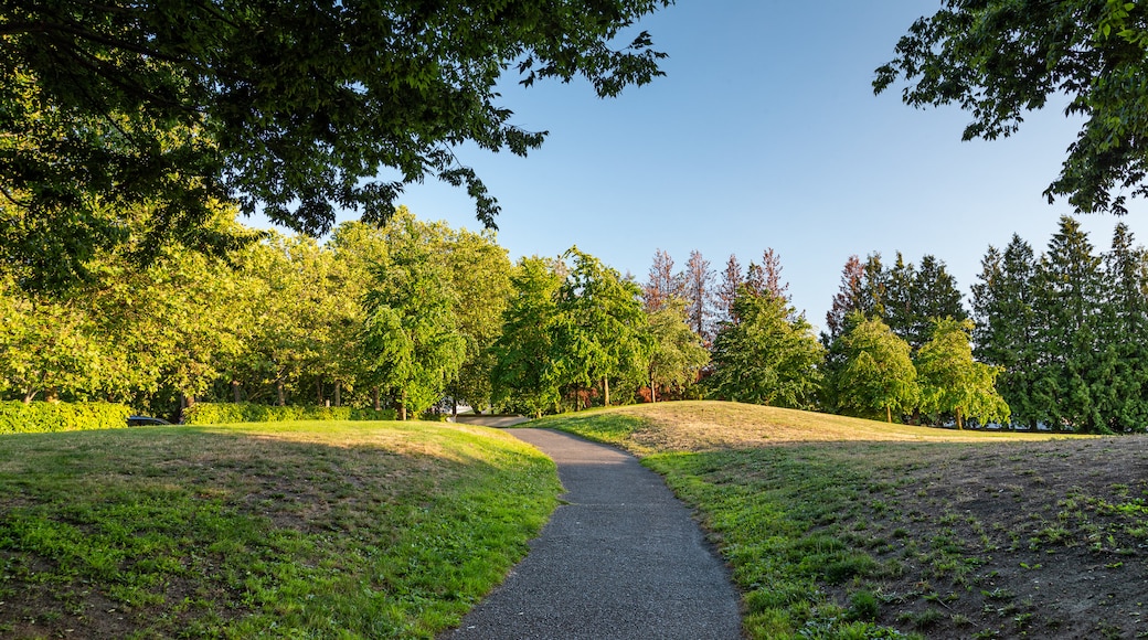 Gas Works Park