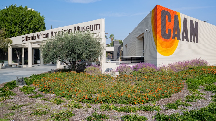 California African American Museum