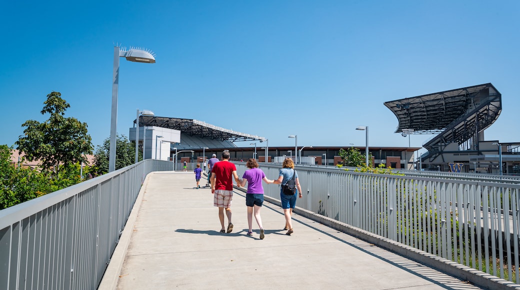 Husky Stadium as well as a small group of people