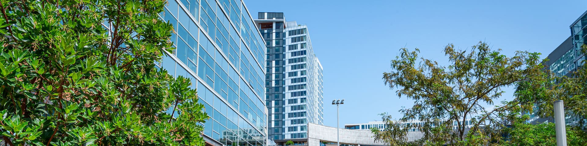 Amazon Corporate Headquarters