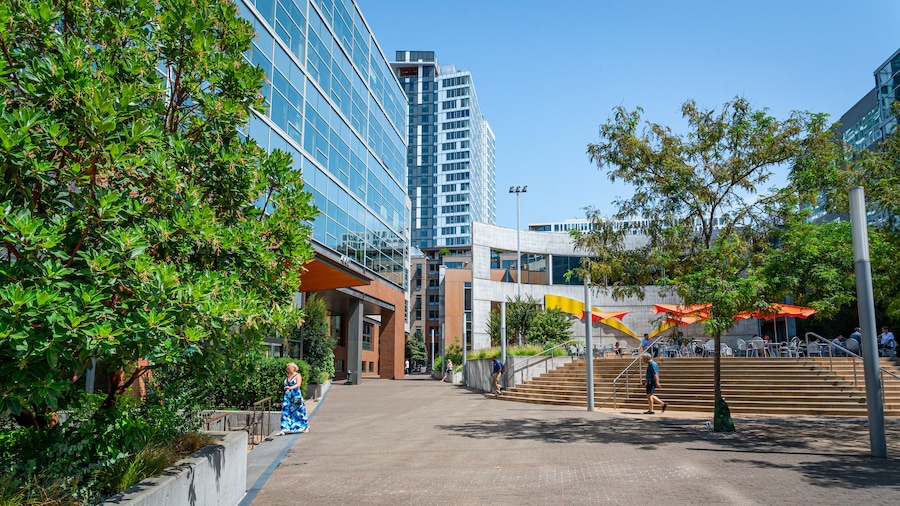 Amazon Corporate Headquarters (sede corporativa)
