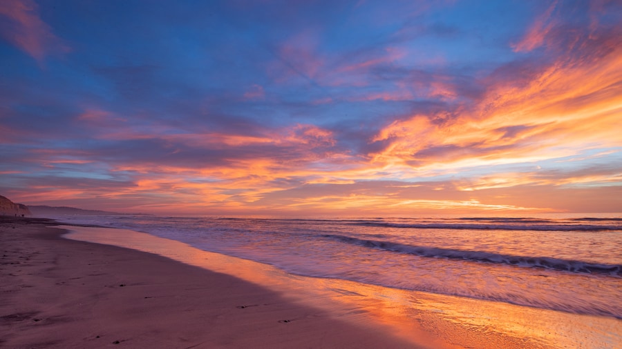 Plage Torrey Pines State Beach
