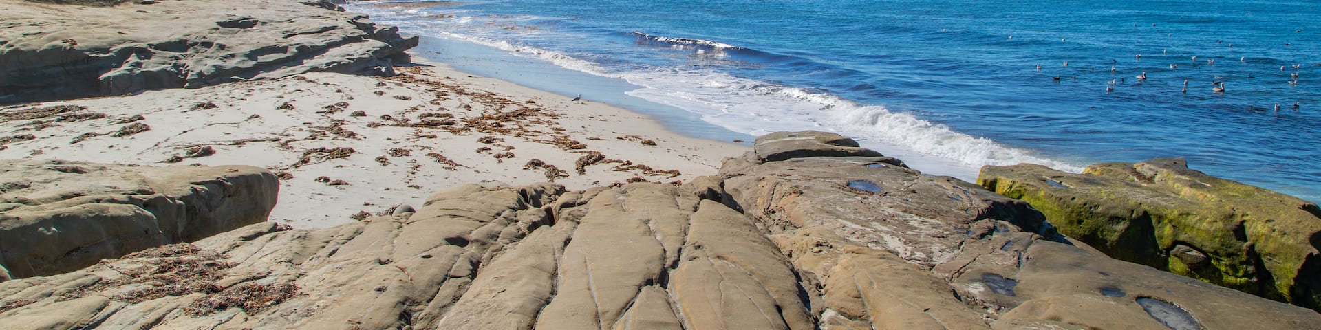 Windansea Beach featuring a sandy beach, general coastal views and rugged coastline