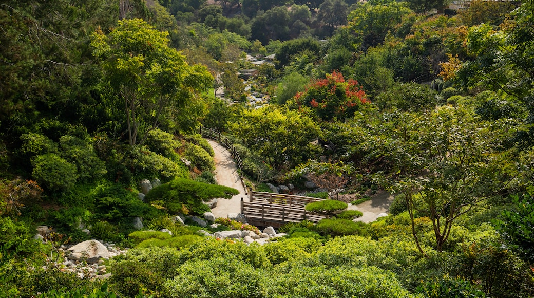 Japanese Friendship Garden