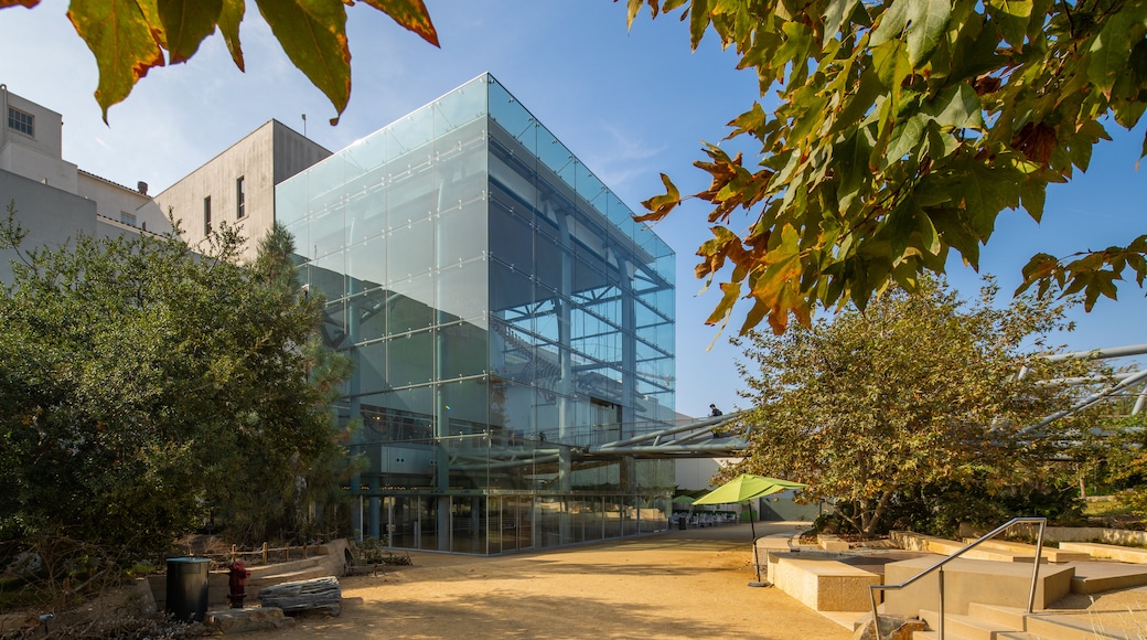 Museu de HistĂłria Natural