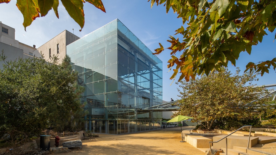 Natural History Museum with modern architecture and outdoor exhibits in Los Angeles.