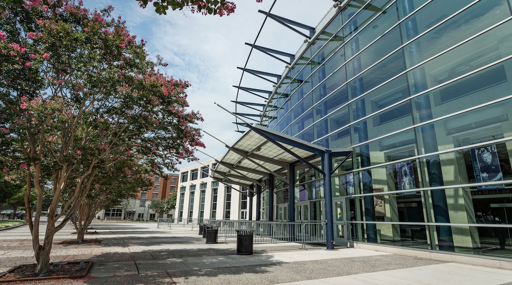 Ted Constant Convocation Center