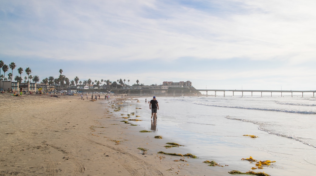 Ocean Beach