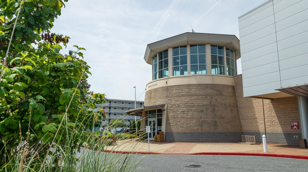 Centre de congrès Roland E. Powell