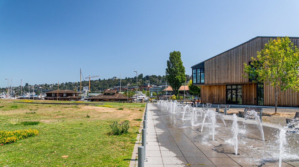 Lake Union Park