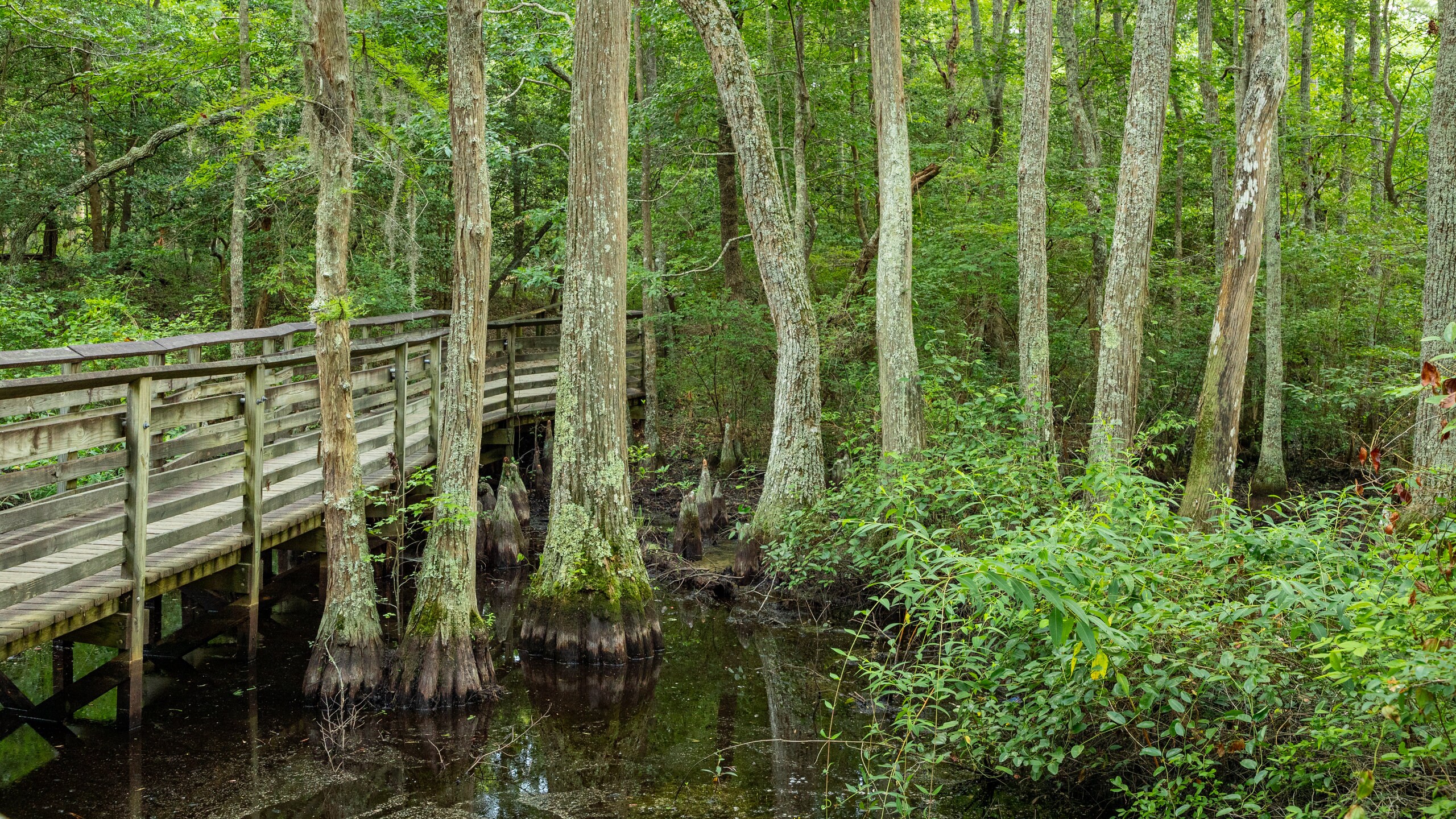 Top 20 First Landing State Park, Virginia Beach cabin rentals from 85