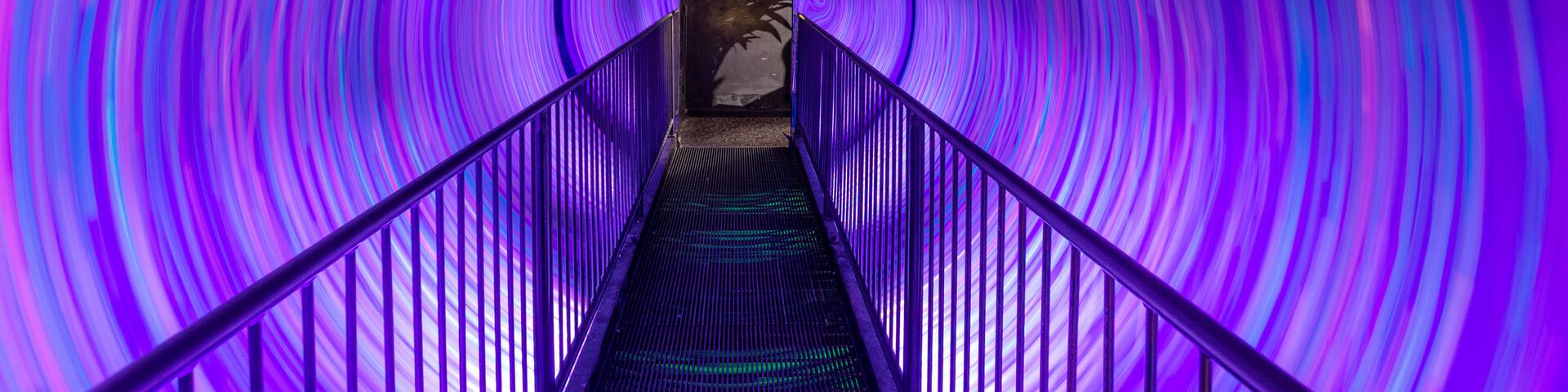 Ripley\'s Believe It or Not Museum