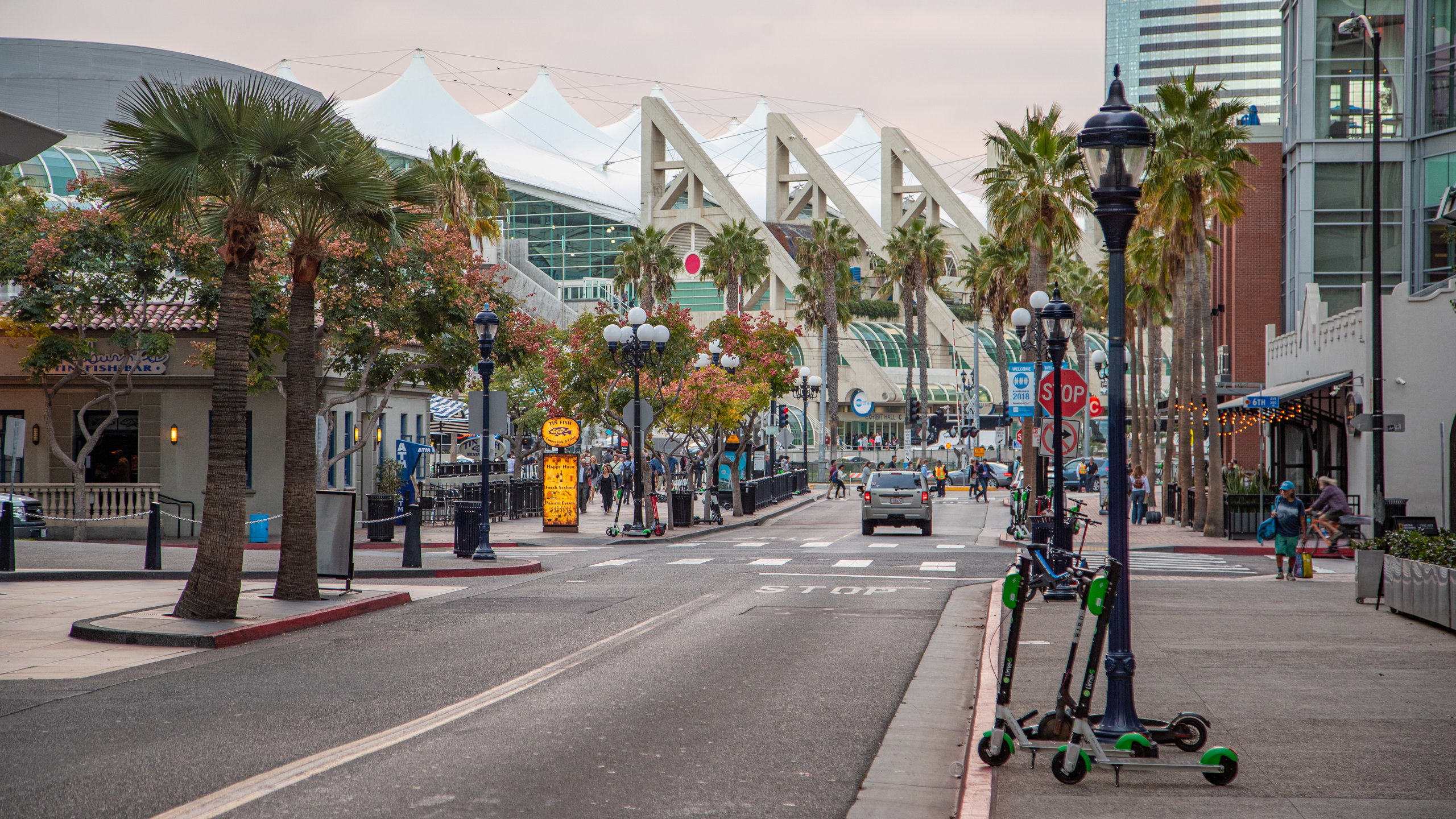 Khám Phá Trường California Miramar University - Nơi Khởi Đầu Mơ Ước Học Tập