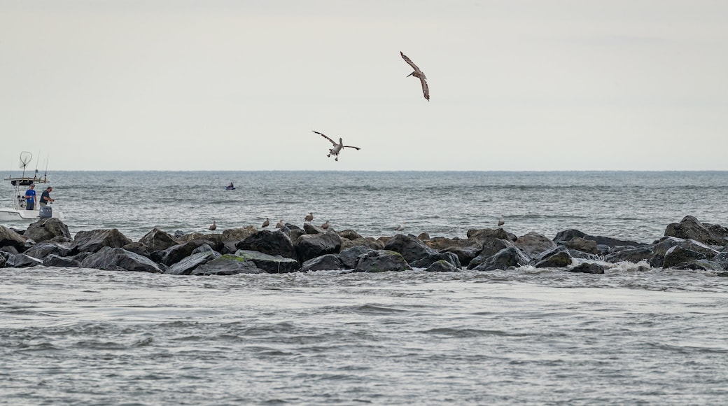 Inlet Park