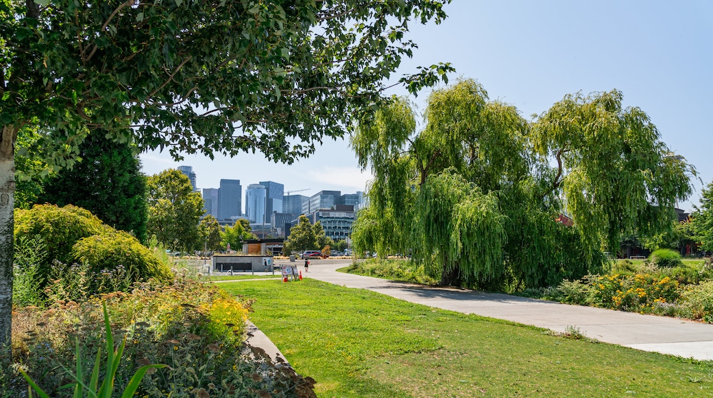 Lake Union Park