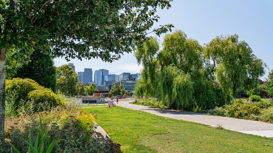 Parque Lake Union