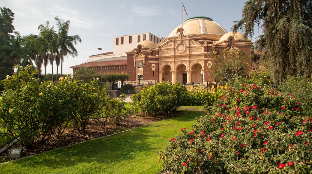 Rose Garden