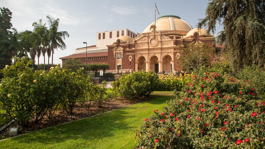 Rose Garden