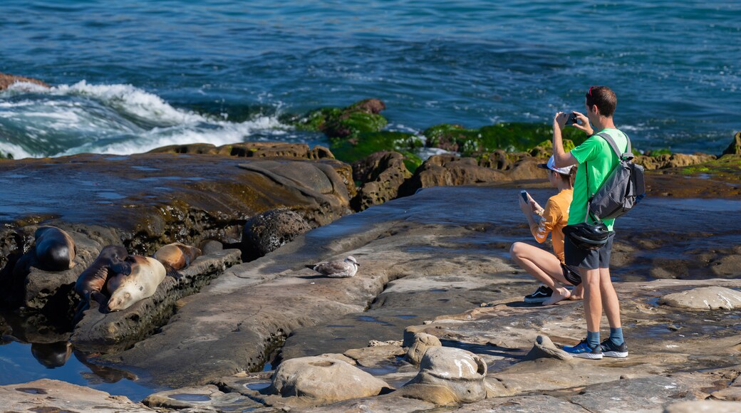 Ellen Browning Scripps Park