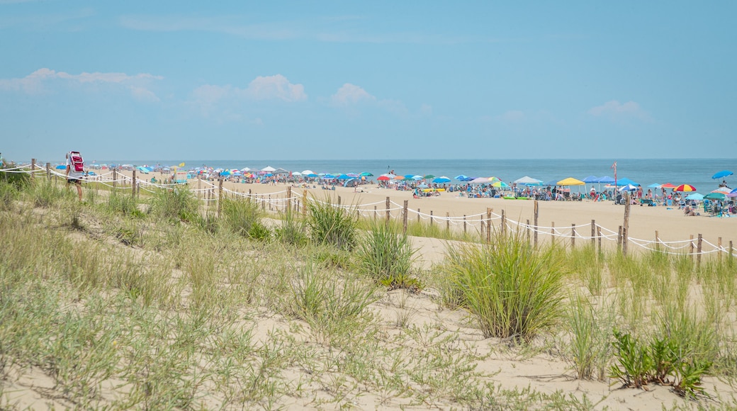 Spiaggia del Maryland