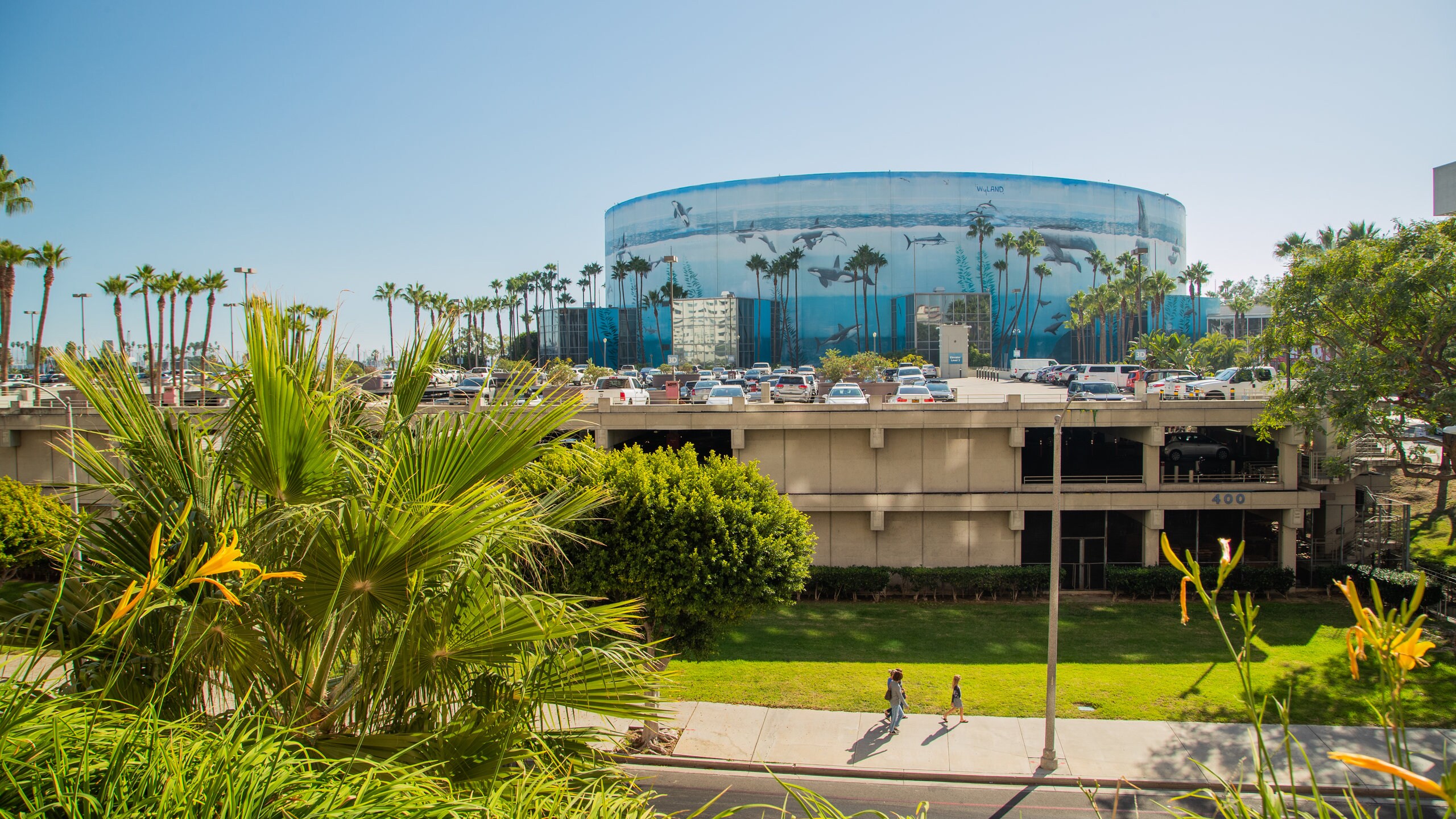 Downtown Long Beach, Long Beach Vacation Rentals: house rentals u0026 more |  Vrbo