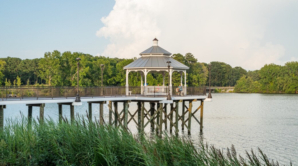 Lago Wright