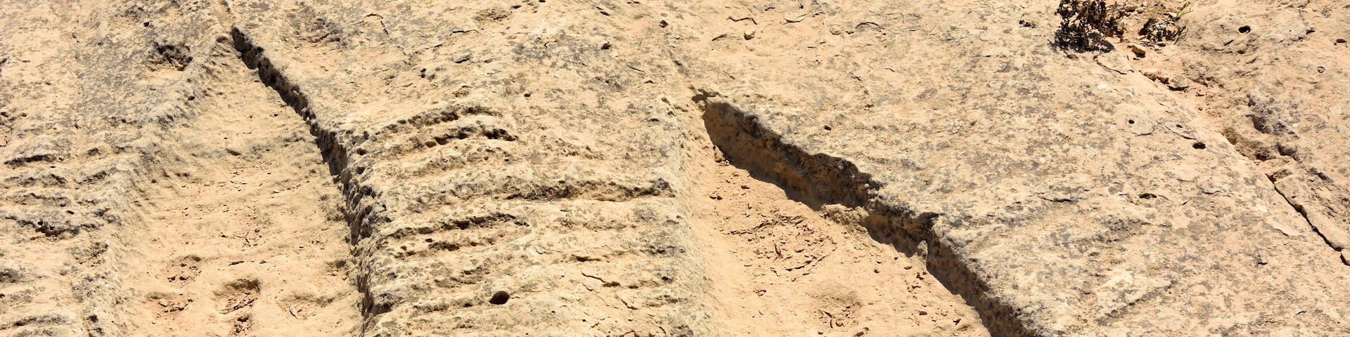 Al Jassasiya Rock Carvings
