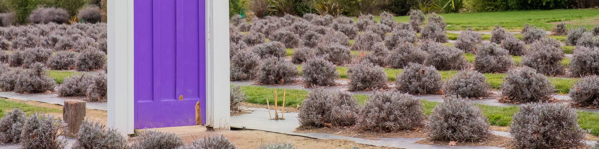 Wanaka Lavender Farm