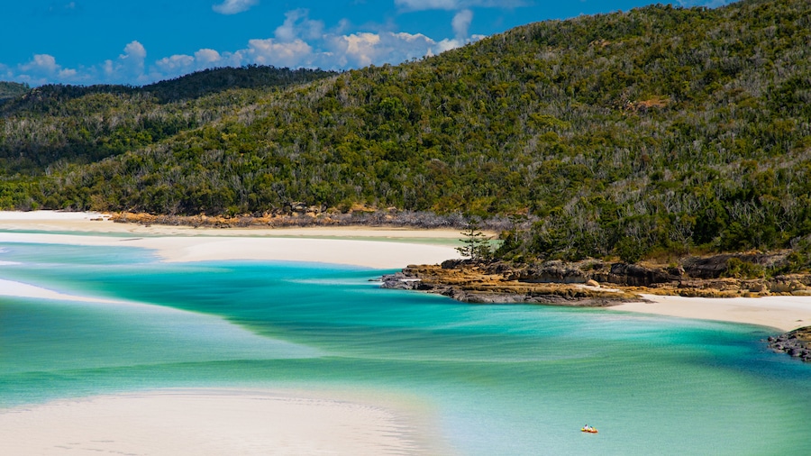 Whitehaven Beach which includes tropical scenes and general coastal views