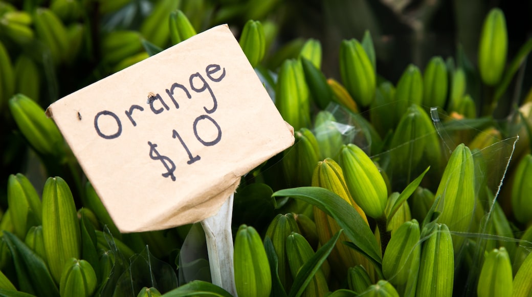 Barossa Farmers Market featuring signage