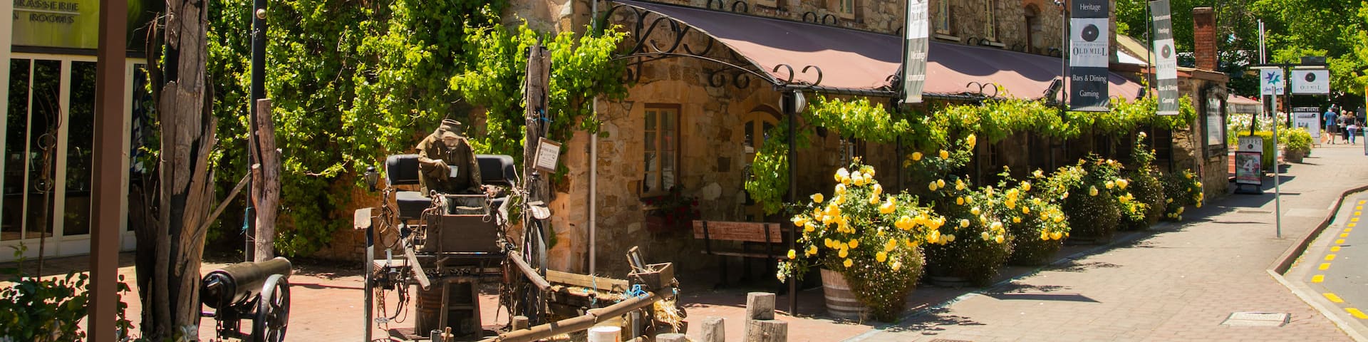 Hahndorf showing flowers