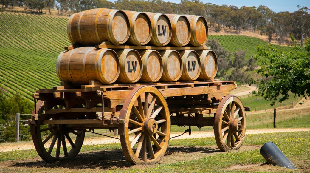 Conseil d'Adelaide Hills