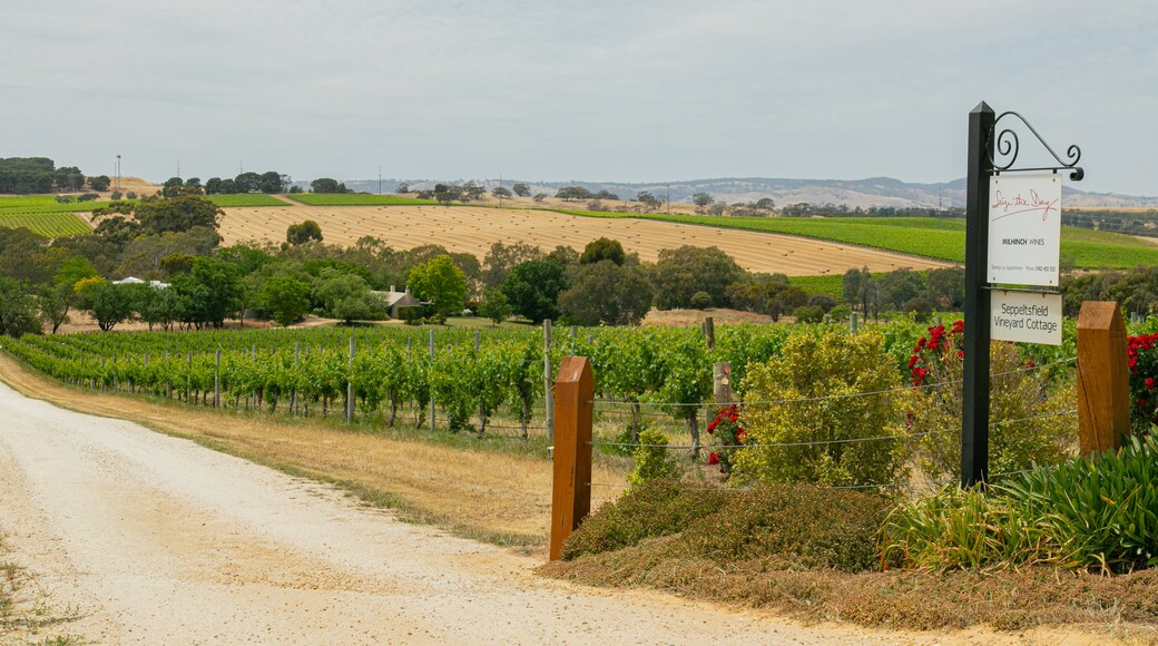Région de Light