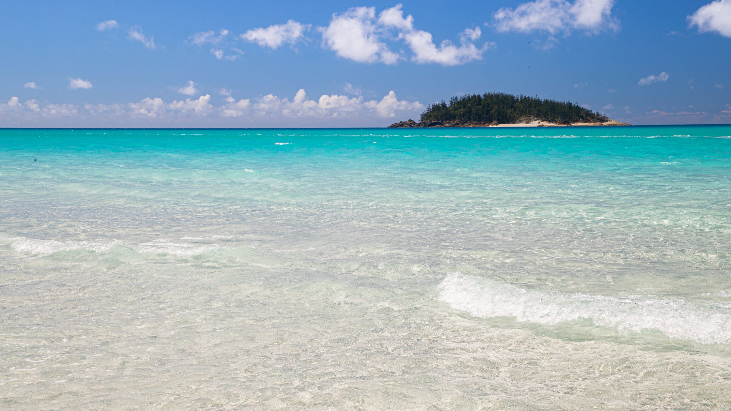 ホワイトヘブン ビーチ (ホイッツサンデーズ) - ツアーと