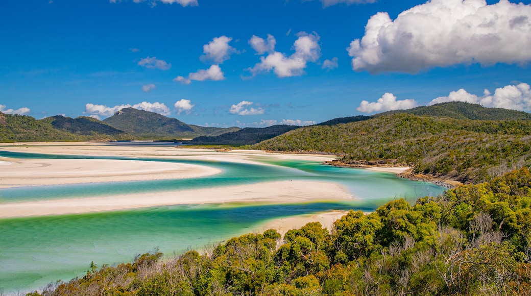 Whitehaven Beach which includes landscape views, general coastal views and a beach