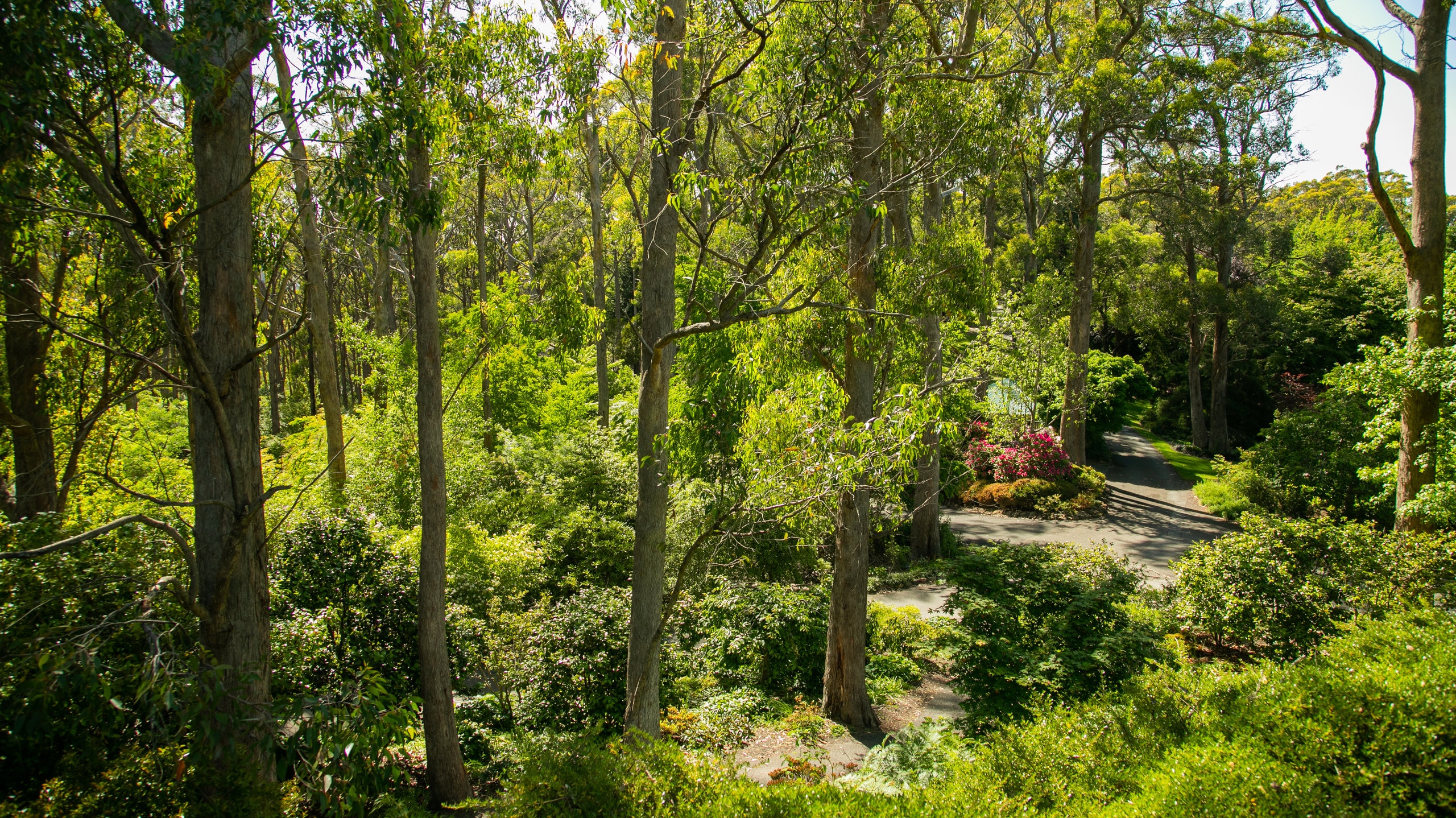 mount-lofty-botanic-garden-crafers-vacation-rentals-house-rentals