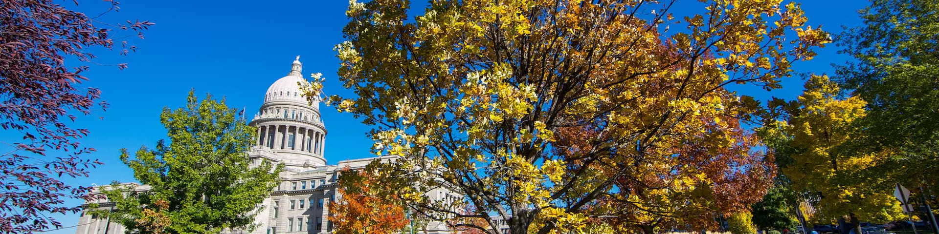 Boise featuring a garden and an administrative buidling