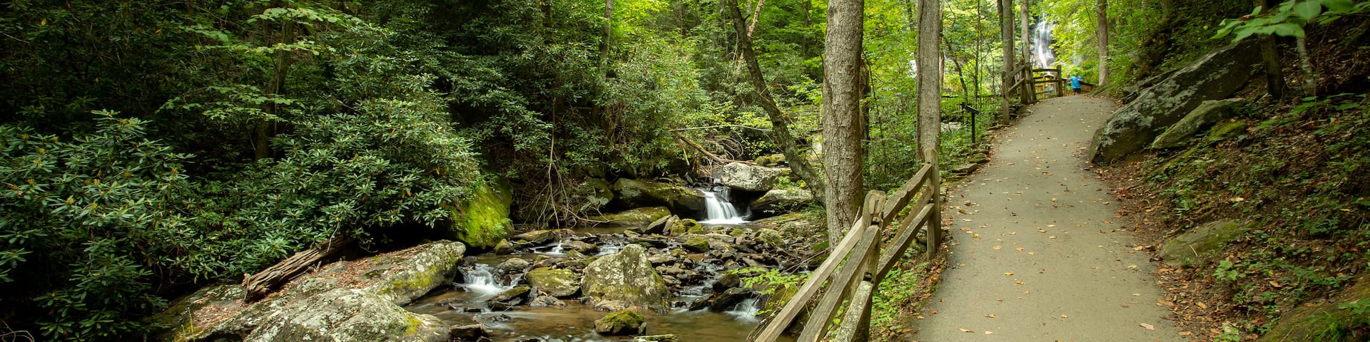 Anna Ruby Falls which includes a river or creek and forest scenes