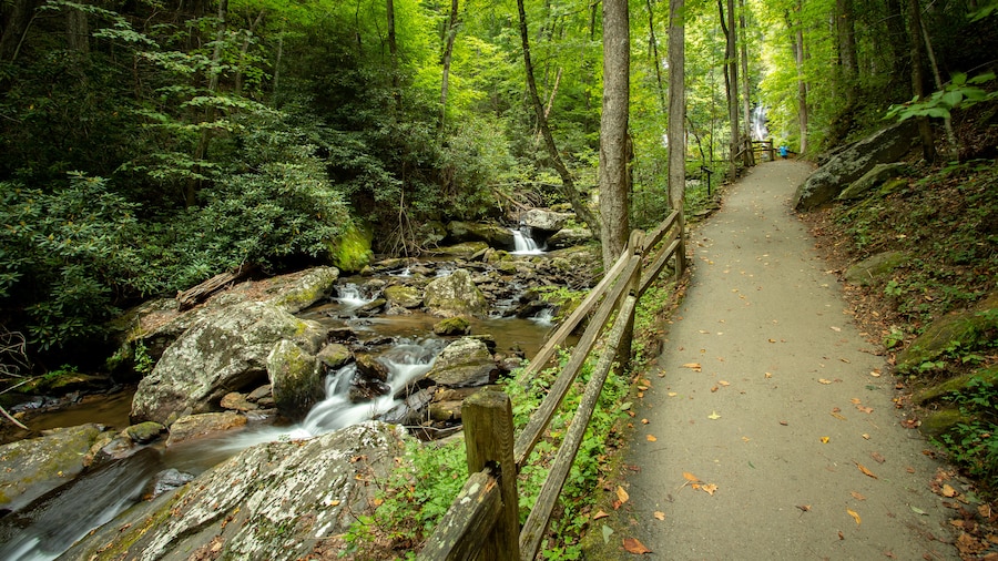 Anna Ruby Falls