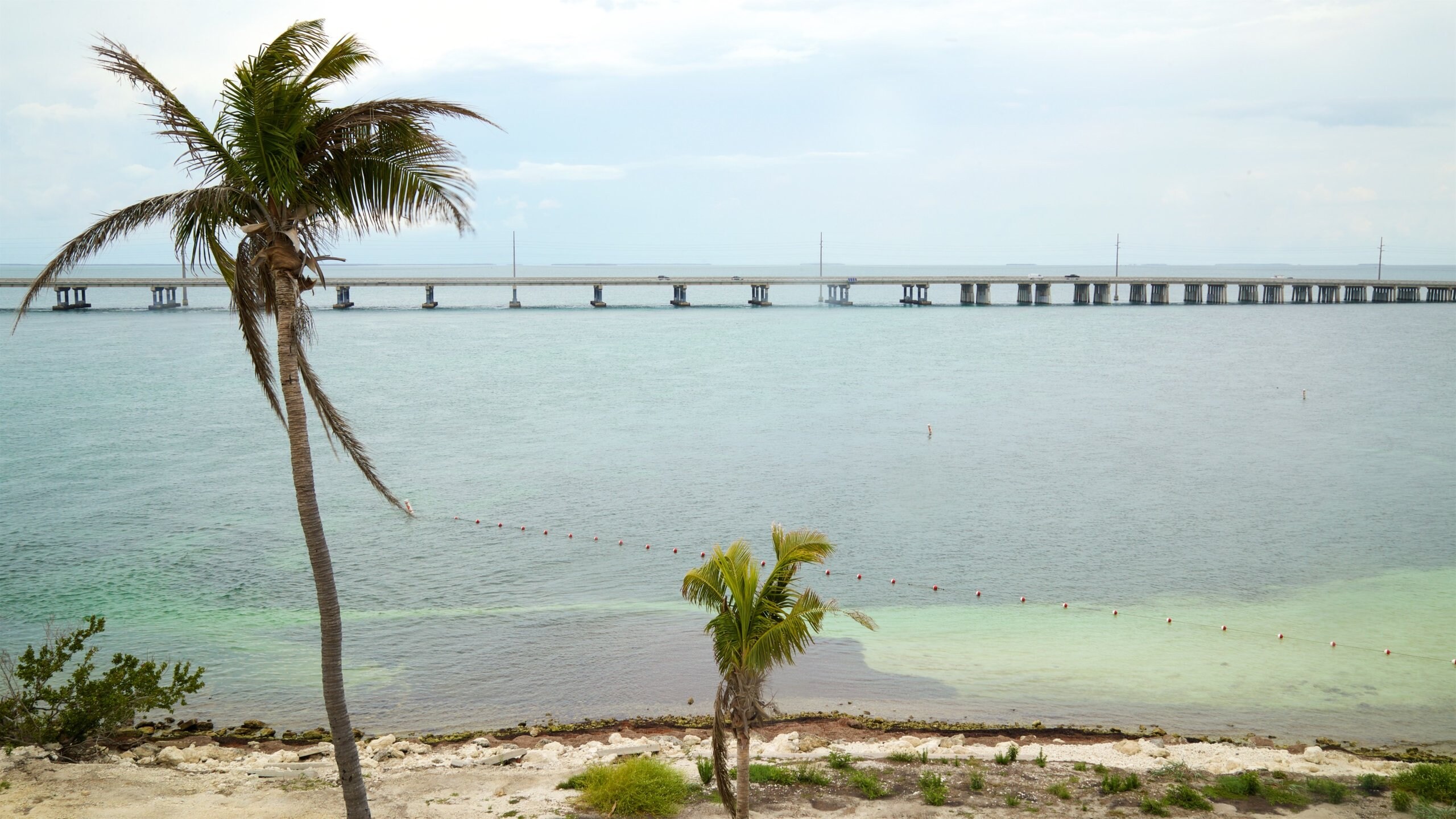 Visit Bahia Honda State Park and Beach in Big Pine Key Expedia