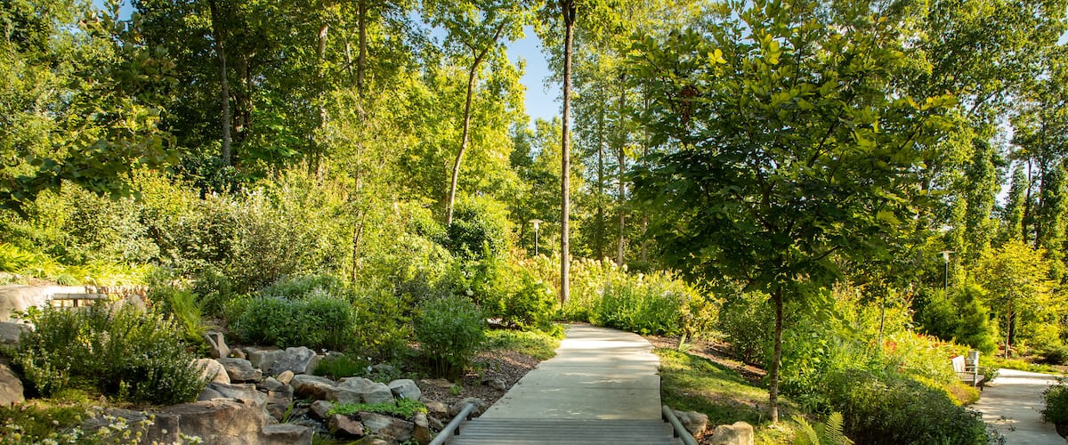 St Maarten and St Martin featuring a park