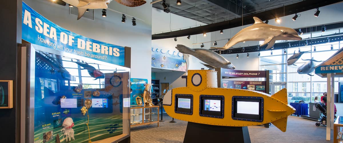 Institute for Marine Mammal Studies which includes interior views and marine life