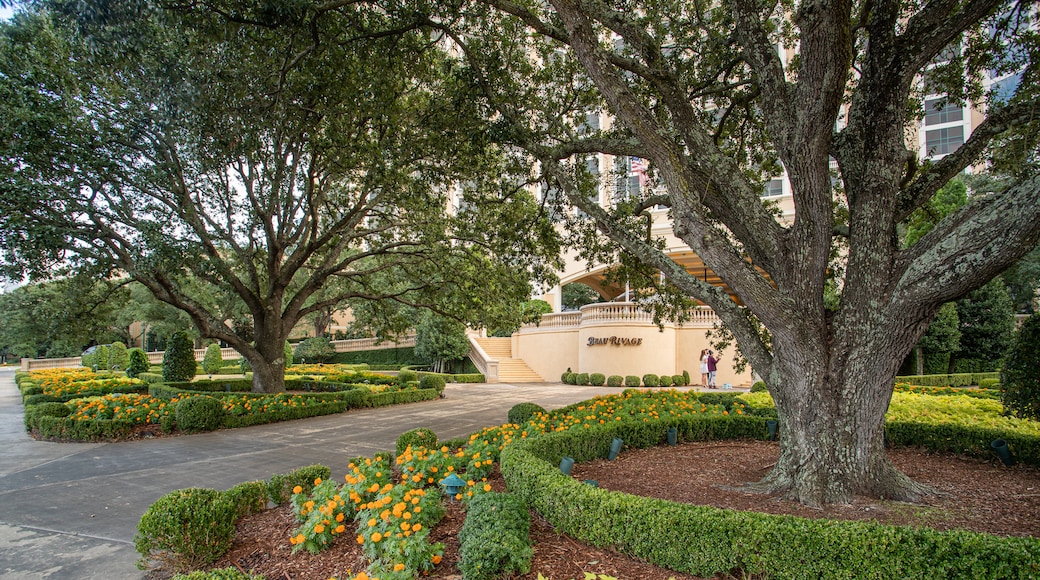 East Biloxi showing wildflowers and a park