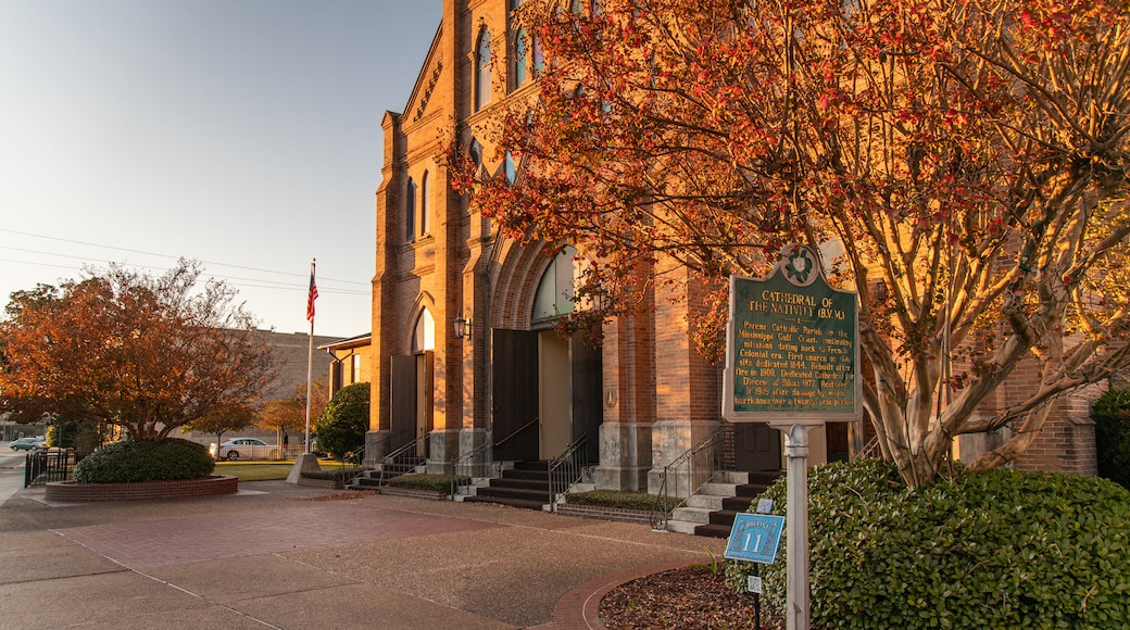 Cathedral of the Nativity of the Blessed Virgin Mary