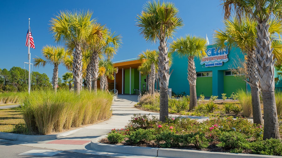 Car Rental Gulfport from 14 Short to LongTerm Car Rental Car Rental Gulfport from 14 Short to LongTerm Car Rental