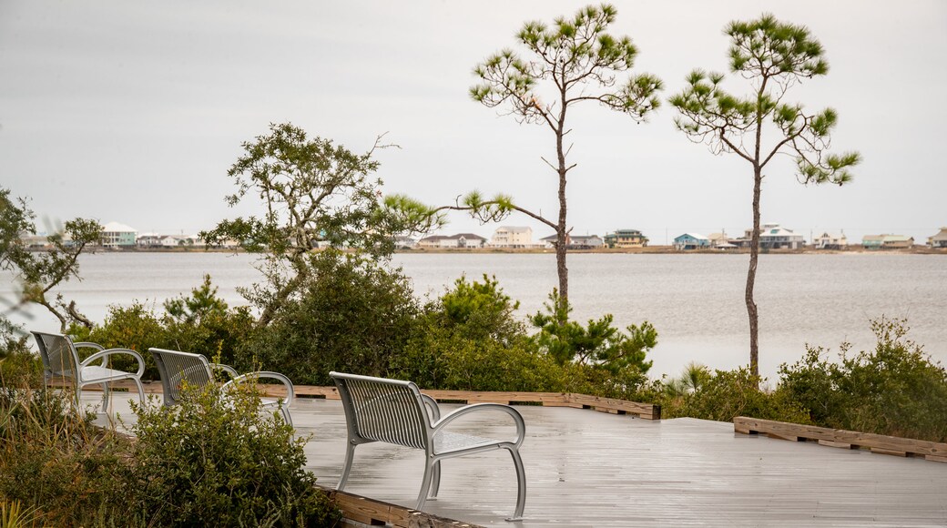 Bon Secour National Wildlife Refuge showing a lake or waterhole