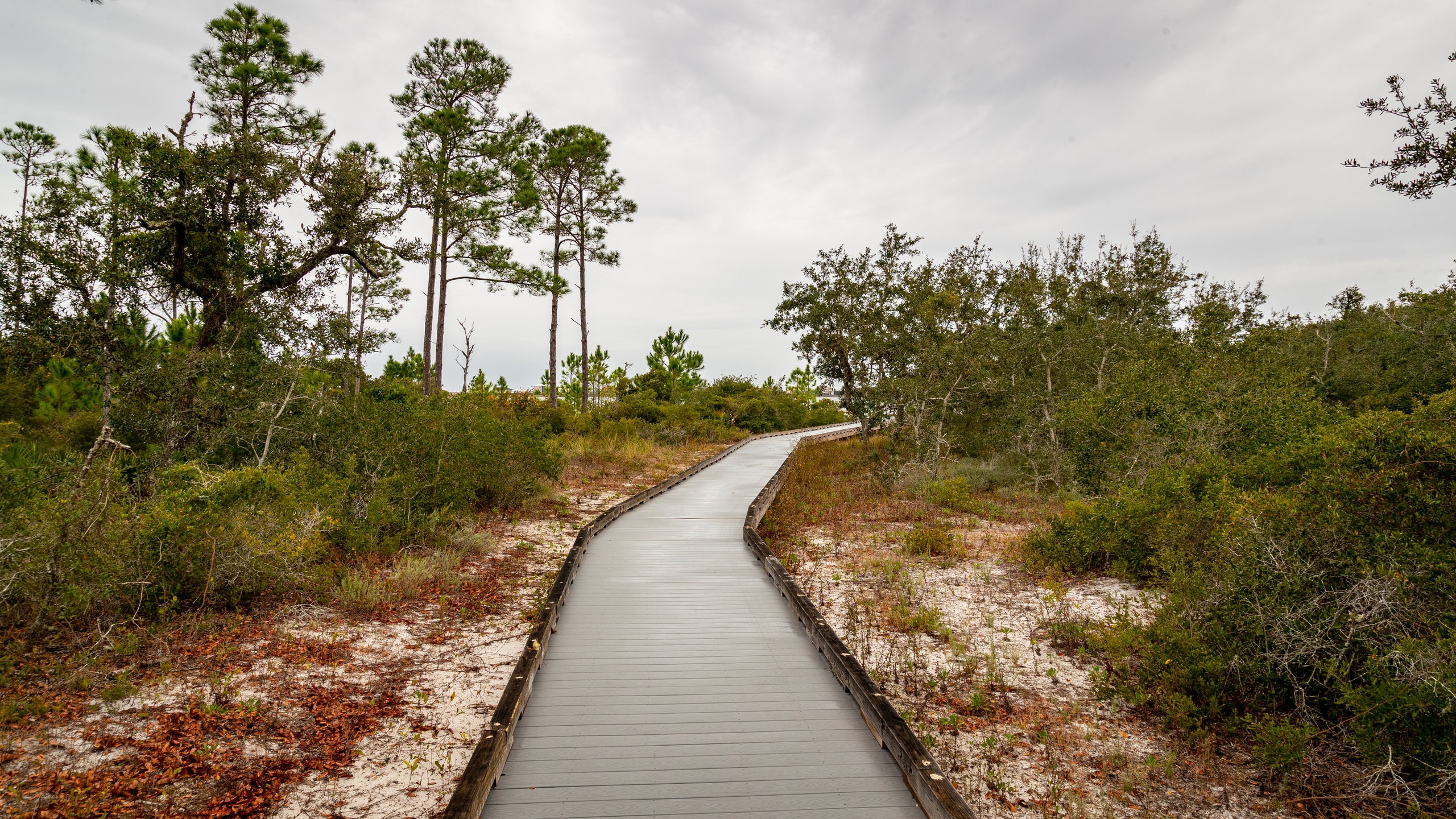 Bon Secour National Wildlife Refuge featuring a garden