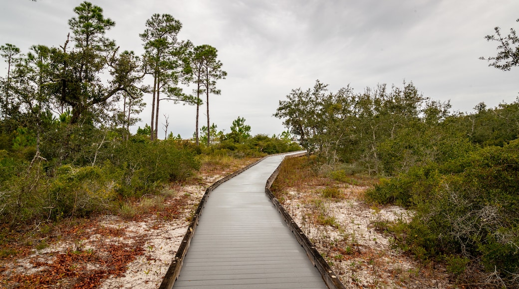 Bon Secour National Wildlife Refuge featuring a garden