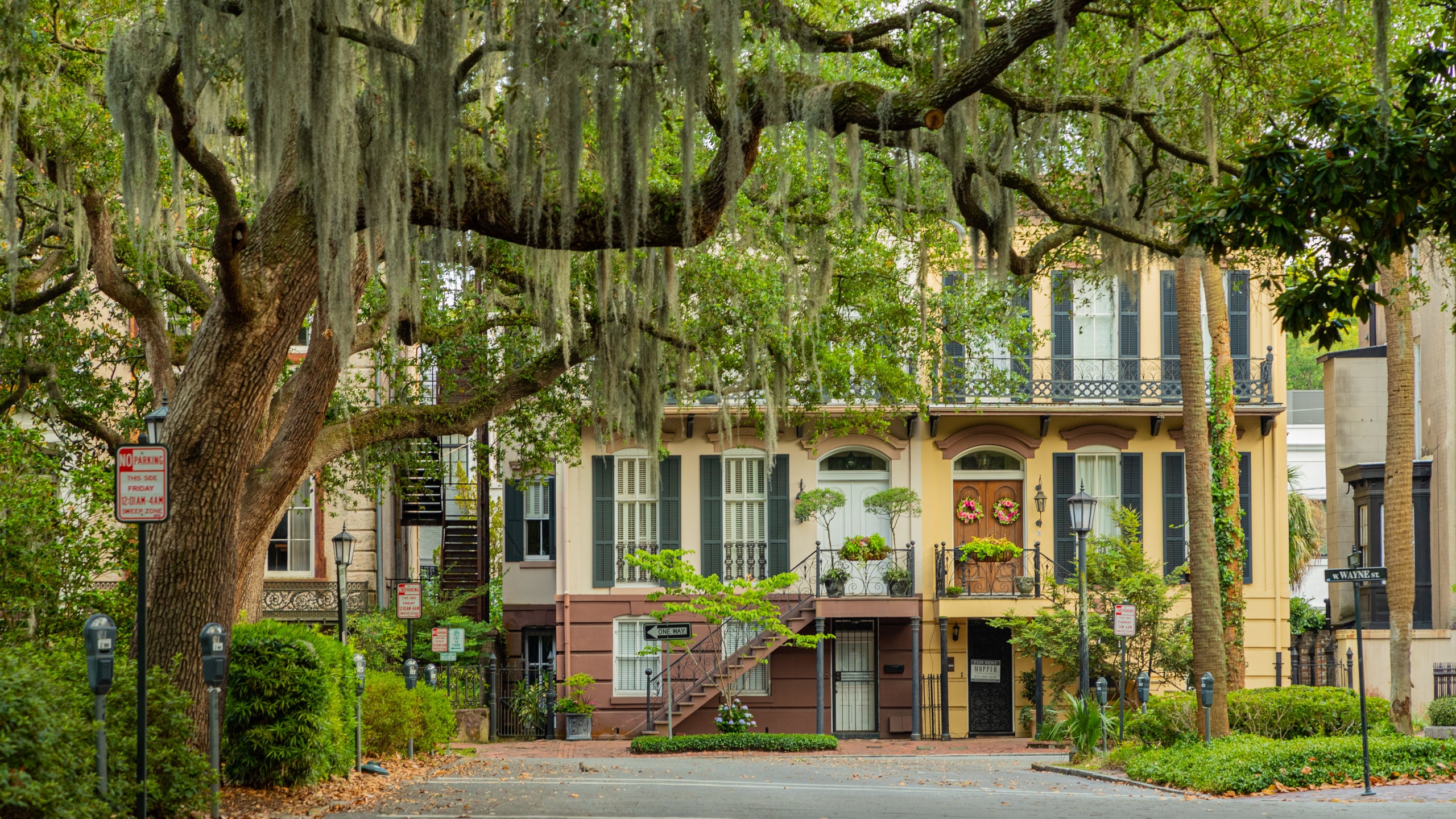 Savannah Attraction