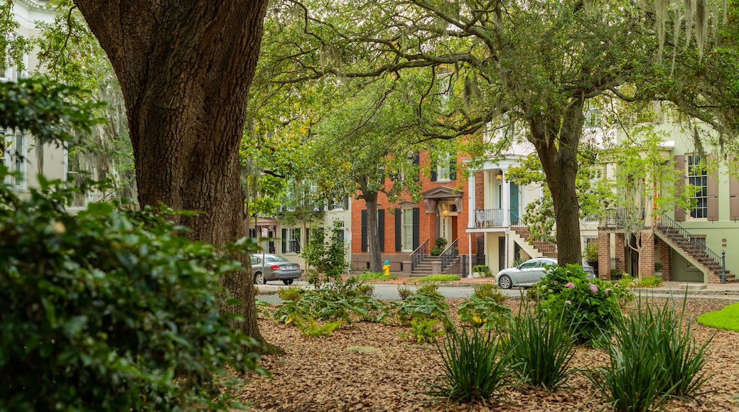 Calhoun Square